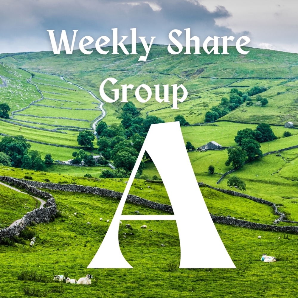 Weekly Share Group A - 1/13/25-1/18/25